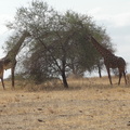 DSC01170